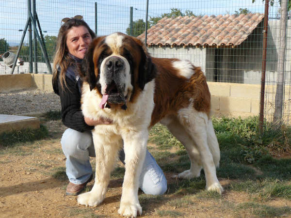 Simba Du lac du der